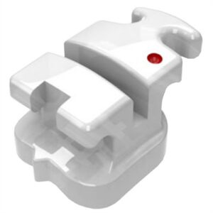 Bráquete roth Compos 22 Dente 24/25 C/G 10.17.008 - Morelli
