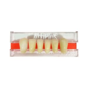 Dente ArtiPlus Anterior Inferior U33 A3 - Dentsply