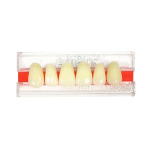 Dente ArtiPlus Anterior Superior L25 C3 - Dentsply