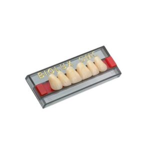 Dente Biolux OMC Anterior Superior V26 67 - VIPI