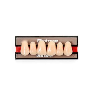 Dente Biotone Anterior Superior 264 A2 - Dentsply Sirona