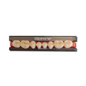 Dente Biotone Posterior Inferior 30M C3 - Dentsply Sirona