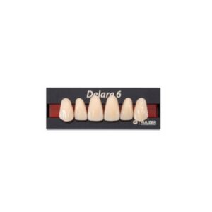 Dente Delara Anterior Superior R45 A1 - Kulzer
