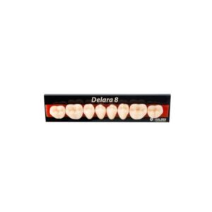 Dente Delara Posterior Inferior 30L D3 - Kulzer