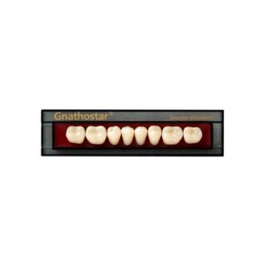Dente Gnathostar A-D Posterior Inferior S84 A3 - Ivoclar Vivadent