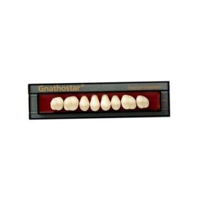 Dente Gnathostar A-D Posterior Superior S88 A3 - Ivoclar Vivadent