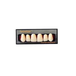 Dente Ivostar A-D Anterior Superior S01 BL4 - Ivoclar Vivadent