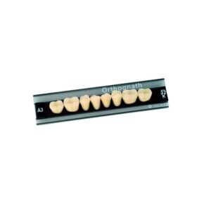 Dente Orthognath Posterior Inferior U34 D3 - Kulzer