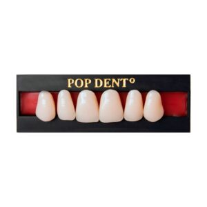 Dente PopDent Anterior Superior 3P 66 - VIPI