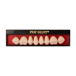 Dente PopDent Posterior Inferior 30M 60 - VIPI