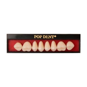 Dente PopDent Posterior Superior 30M 66 - VIPI