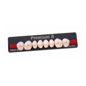 Dente Premium Posterior Superior M D3 - Kulzer