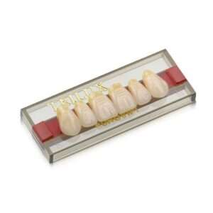 Dente Trilux Anterior Superior E2 1A - VIPI