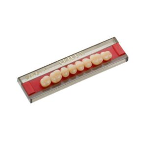 Dente Trilux Posterior Inferior M2 1C - VIPI
