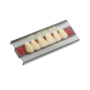 Dente Vipi Dent Plus Anterior Superior A25 BL2 - VIPI