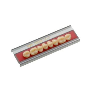 Dente Vipi Dent Plus Posterior Inferior 34L BL2 - VIPI