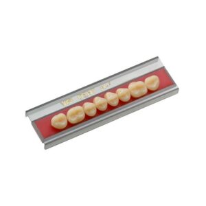 Dente Vipi Dent Plus Posterior Superior 32L 77 - VIPI