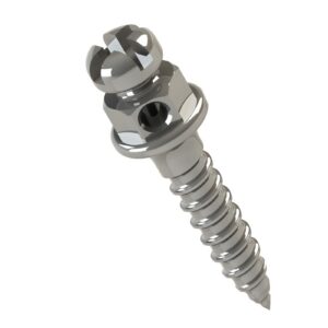 Miniparafuso 6mm Trns. 1mm Horario 37.10.241 - Morelli