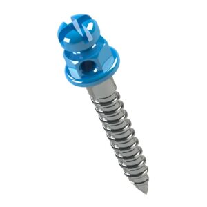 Miniparafuso 8mm Trans 1mm Anti. 37.10.232 - Morelli