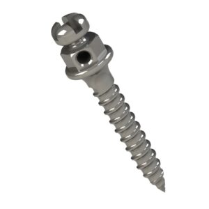 Miniparafuso 8mm Trns. 1mm Horario 37.10.242 - Morelli
