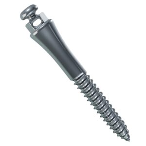 Miniparafuso Furo 21x25 Trans. 6mm 37.10.603 - Morelli