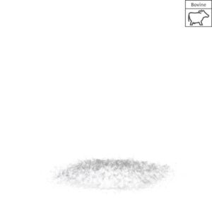 Straumann Cerabone 0,5-1,0M 0,5Cc Aw-1510 - Neodent