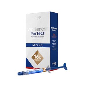 Mini Kit Whiteness Perfect 16% - FGM